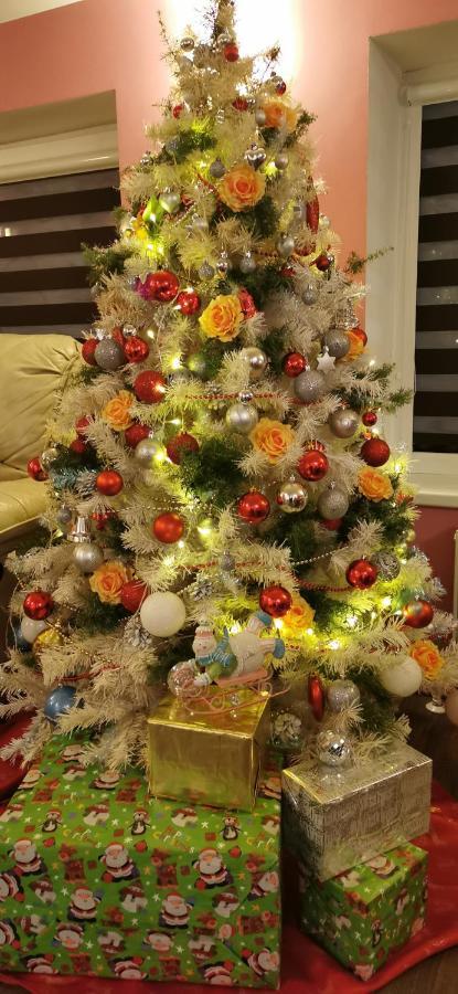 Holiday Home Noras Nams 采西斯 外观 照片